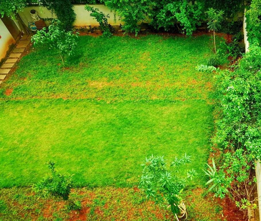 Tulip Villa Bangalore Ngoại thất bức ảnh